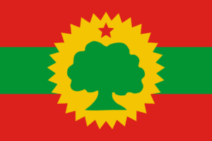 flag of the oromo liberation front.svg